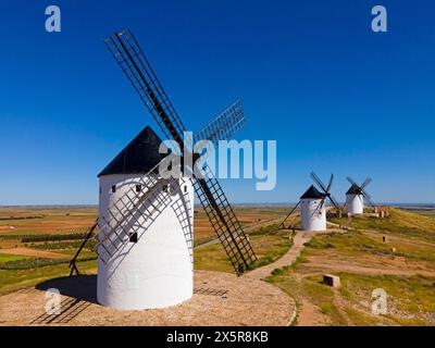 Mulini a vento tradizionali in un campo aperto sotto un cielo azzurro, Mills, Alcazar de San Juan, Pais de Quijote, Ciudad Real, Castilla-la Mancha, Spagna Foto Stock