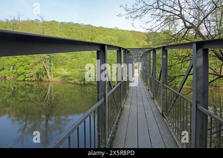 Passerella in ferro sul Glan, ponte pedonale, fiume, paesaggio, costruzione in acciaio, trave in acciaio, Meisenheim, Renania-Palatinato, Germania Foto Stock