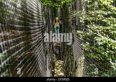 Donna sportiva, turista con macchina fotografica in cima agli alberi, ponti sospesi, corde, reti, faggete, escursione, vetta della montagna Hoherodskopf, Terziario Foto Stock