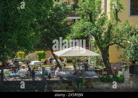 Gruppi maschili sulla strada per la giornata degli uomini sulla pista ciclabile dell'Elba di Dresda, qui Villa Marie, Dresda, Sassonia, Germania Foto Stock