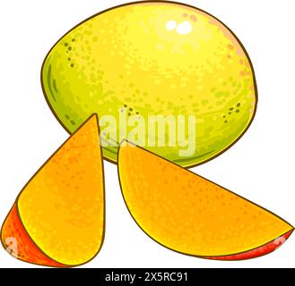 Illustrazione dettagliata colorata dei frutti di mango. Illustrazione Vettoriale