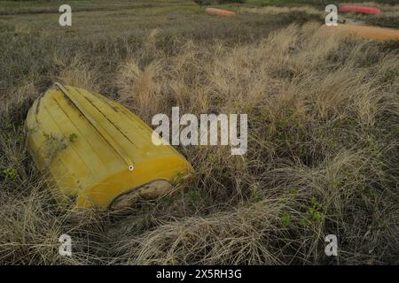 Barche a vela sulle dune di Mols Bjerge, costa nordica vicino ad Aarhus, Danimarca Foto Stock