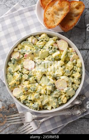 Insalata vitaminica con uova sode, ravanelli, cipolle verdi e cetrioli freschi serviti con pane tostato da vicino in un recipiente sul tavolo. Vista dall'alto verticale Foto Stock