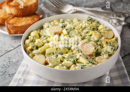 Insalata di uova con ravanelli, cipolle verdi e cetrioli condita con maionese da vicino in un recipiente sul tavolo. Orizzontale Foto Stock