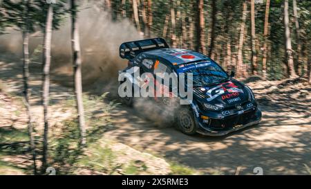 WRC Rally Portogallo - SS4 Góis - Takamoto Katsuta e Aaron Johnston - Toyota GR Yaris Rally1 Hybrid - Panning shot nella foresta Foto Stock