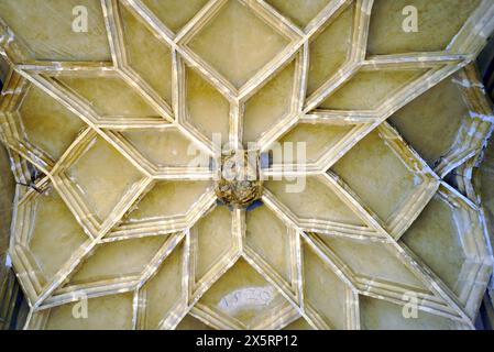 Primo piano della volta delle costole sul portale della cattedrale di Santa Maria a Sibiu. Architettura gotica della chiesa nella città vecchia di Sibiu (Romania). Foto Stock