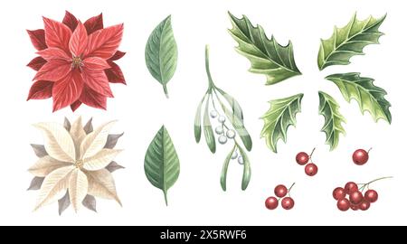 Ramoscello di istletoe con frutti di bosco, agrifoglio e poinsettia. Piante tradizionali natalizie in vintage. Set di acquerelli. Illustrazione disegnata a mano per le vacanze invernali Foto Stock