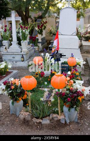 Oaxaca; Messico; Nord America. Il giorno della celebrazione dei morti. Tomba decorata, cimitero di San Miguel. Foto Stock