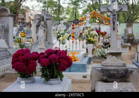 Oaxaca; Messico; Nord America. Il giorno della celebrazione dei morti. Graves decorate, cimitero di San Miguel. Foto Stock