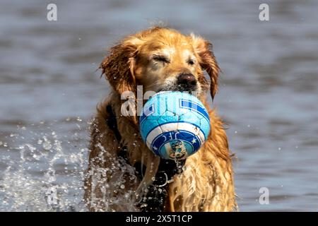 Southport, Merseyside, 05.11.2024 persone al mare di Southport, che si godono una giornata di sole caldo e limpido cielo blu in uno splendido pomeriggio primaverile. Crediti: Cernan Elias/Alamy Live News Foto Stock