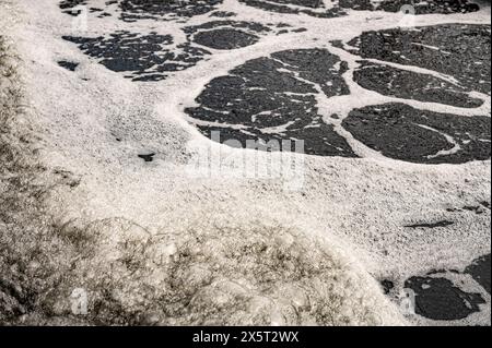 acqua inquinata e contaminata dal sistema fognario, nel processo di purificazione Foto Stock