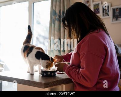 Donna che prepara il cibo per gatto in cucina Foto Stock