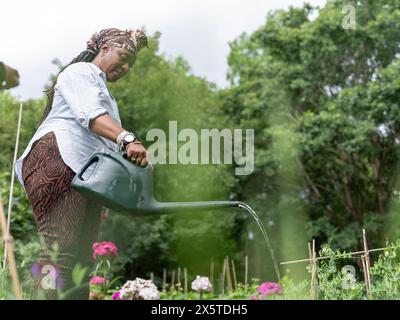 Donna matura innaffiare piante in giardino Foto Stock