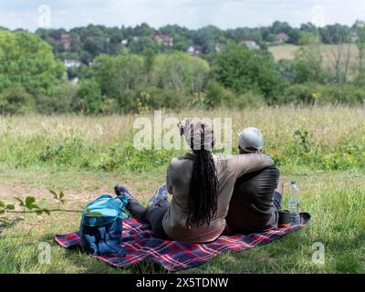 Una coppia matura che fa un picnic nel prato Foto Stock