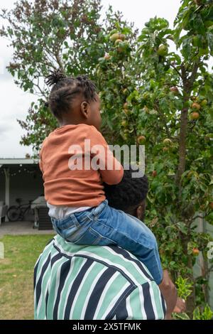 Padre che dà la figlia (2-3) giro in piggyback Foto Stock