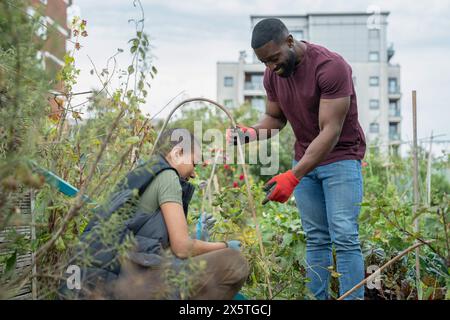 Una coppia che lavora in un giardino urbano Foto Stock