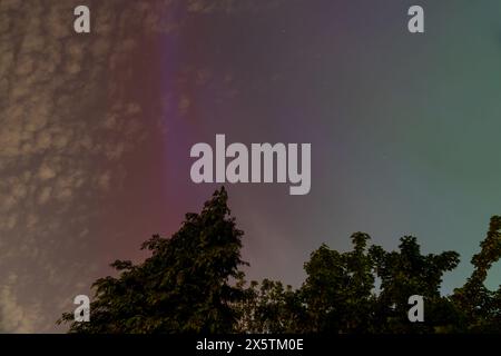 Vista accattivante dell'aurora boreale che strizza il cielo notturno sopra i contorni scuri dell'albero Foto Stock