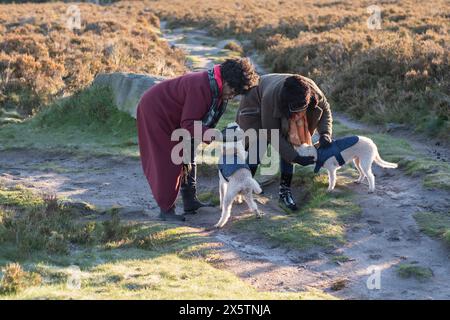 Due donne e due cani che camminano insieme Foto Stock