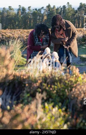 Due donne e due cani che camminano insieme Foto Stock