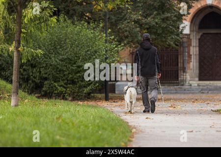 Cieco che fa una piacevole passeggiata in un parco cittadino con il suo cane guida addestrato. Concetto di partnership tra animali di servizio e persone. Foto Stock