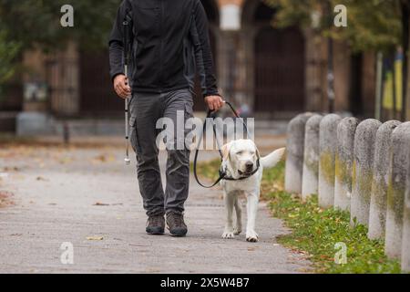 Cieco che fa una piacevole passeggiata in un parco cittadino con il suo cane guida addestrato. Concetto di partnership tra animali di servizio e persone. Foto Stock