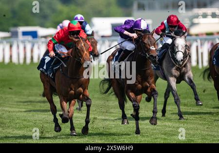 Ascot, Regno Unito, sabato 11 maggio 2024. Xanthe e Pat Dobbs vincono il Peroni nastro Azzurro 0,0% Novice Stakes per il formatore Richard Hannon e la proprietaria Mrs J. Wood. Crediti JTW equine Images / Alamy Live News Foto Stock