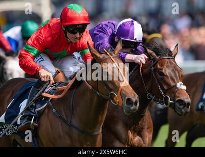 Ascot, Regno Unito, sabato 11 maggio 2024. Xanthe e Pat Dobbs vincono il Peroni nastro Azzurro 0,0% Novice Stakes per il formatore Richard Hannon e la proprietaria Mrs J. Wood. Crediti JTW equine Images / Alamy Live News Foto Stock