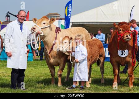 Ayr, Regno Unito. 11 maggio 2024. Migliaia di spettatori e visitatori hanno partecipato al 179° Annual Ayr County Show in un caldo e soleggiato giorno di maggio. Lo spettacolo, uno dei più grandi spettacoli di contea e agricoltura in Scozia, ha avuto mostre e competizioni per tutti gli aspetti della fama e della vita di campagna, tra cui il giudice di bestiame e pecore, il cavallo gymkhana e le gare di tiro alla fune tra i gruppi di giovani agricoltori. Crediti: Findlay/Alamy Live News Foto Stock