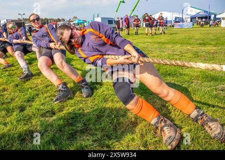 Ayr, Regno Unito. 11 maggio 2024. Migliaia di spettatori e visitatori hanno partecipato al 179° Annual Ayr County Show in un caldo e soleggiato giorno di maggio. Lo spettacolo, uno dei più grandi spettacoli di contea e agricoltura in Scozia, ha avuto mostre e competizioni per tutti gli aspetti della fama e della vita di campagna, tra cui il giudice di bestiame e pecore, la ginnastica dei cavalli e le gare di tiro alla fune tra i gruppi di giovani agricoltori. Crediti: Findlay/Alamy Live News Foto Stock