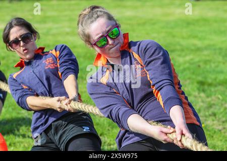 Ayr, Regno Unito. 11 maggio 2024. Migliaia di spettatori e visitatori hanno partecipato al 179° Annual Ayr County Show in un caldo e soleggiato giorno di maggio. Lo spettacolo, uno dei più grandi spettacoli di contea e agricoltura in Scozia, ha avuto mostre e competizioni per tutti gli aspetti della fama e della vita di campagna, tra cui il giudice di bestiame e pecore, il cavallo gymkhana e le gare di tiro alla fune tra i gruppi di giovani agricoltori. Crediti: Findlay/Alamy Live News Foto Stock