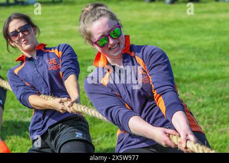 Ayr, Regno Unito. 11 maggio 2024. Migliaia di spettatori e visitatori hanno partecipato al 179° Annual Ayr County Show in un caldo e soleggiato giorno di maggio. Lo spettacolo, uno dei più grandi spettacoli di contea e agricoltura in Scozia, ha avuto mostre e competizioni per tutti gli aspetti della fama e della vita di campagna, tra cui il giudice di bestiame e pecore, il cavallo gymkhana e le gare di tiro alla fune tra i gruppi di giovani agricoltori. Crediti: Findlay/Alamy Live News Foto Stock