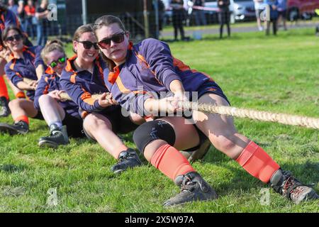 Ayr, Regno Unito. 11 maggio 2024. Migliaia di spettatori e visitatori hanno partecipato al 179° Annual Ayr County Show in un caldo e soleggiato giorno di maggio. Lo spettacolo, uno dei più grandi spettacoli di contea e agricoltura in Scozia, ha avuto mostre e competizioni per tutti gli aspetti della fama e della vita di campagna, tra cui il giudice di bestiame e pecore, il cavallo gymkhana e le gare di tiro alla fune tra i gruppi di giovani agricoltori. Crediti: Findlay/Alamy Live News Foto Stock