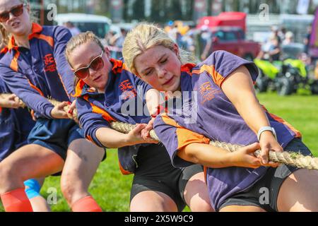 Ayr, Regno Unito. 11 maggio 2024. Migliaia di spettatori e visitatori hanno partecipato al 179° Annual Ayr County Show in un caldo e soleggiato giorno di maggio. Lo spettacolo, uno dei più grandi spettacoli di contea e agricoltura in Scozia, ha avuto mostre e competizioni per tutti gli aspetti della fama e della vita di campagna, tra cui il giudice di bestiame e pecore, il cavallo gymkhana e le gare di tiro alla fune tra i gruppi di giovani agricoltori. Crediti: Findlay/Alamy Live News Foto Stock