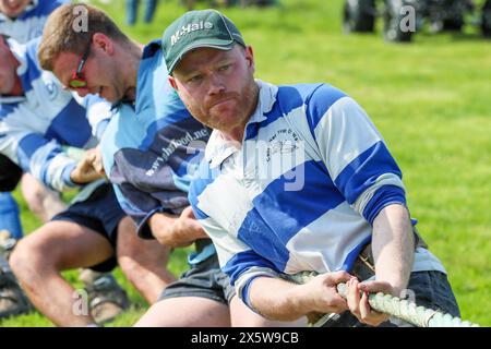 Ayr, Regno Unito. 11 maggio 2024. Migliaia di spettatori e visitatori hanno partecipato al 179° Annual Ayr County Show in un caldo e soleggiato giorno di maggio. Lo spettacolo, uno dei più grandi spettacoli di contea e agricoltura in Scozia, ha avuto mostre e competizioni per tutti gli aspetti della fama e della vita di campagna, tra cui il giudice di bestiame e pecore, il cavallo gymkhana e le gare di tiro alla fune tra i gruppi di giovani agricoltori. Crediti: Findlay/Alamy Live News Foto Stock