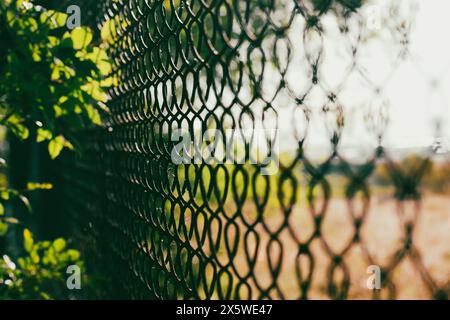 Foto di alta qualità di recinzione metallica. Rete in acciaio macro, netta su sfondo verde rurale naturale. Barriera di protezione in un parco. Protezione del territorio privato. Foto Stock