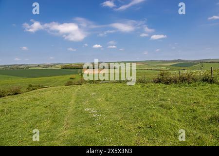 Un percorso erboso attraverso la campagna del Sussex in una soleggiata giornata primaverile Foto Stock