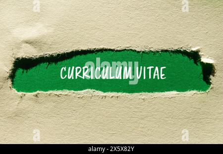 Parole del curriculum vitae scritte su carta strappata con sfondo a colori. Curriculum concettuale vitae CV symbol. Copia spazio. Foto Stock