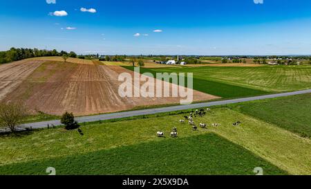 Questa fotografia aerea mostra un paesaggio rurale diversificato con campi di macchia in varie tonalità di marrone e verde, una mandria di bestiame al pascolo e un cielo limpido con nuvole sparse. Foto Stock