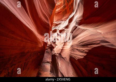 Il canyon cardiaco vicino a Page, Arizona, mette in risalto lo stretto passaggio e la luce brillante e gli intricati motivi che si formano su milioni di yuan Foto Stock