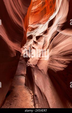 Il canyon cardiaco vicino a Page, Arizona, mette in risalto lo stretto passaggio e la luce brillante e gli intricati motivi che si formano su milioni di yuan Foto Stock