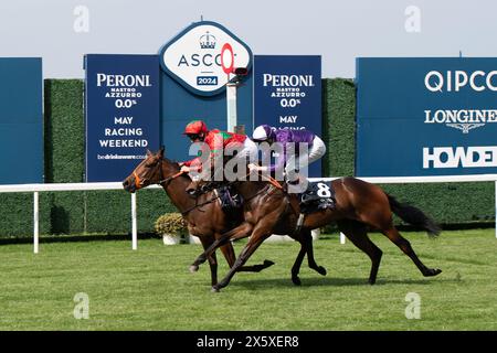 Ascot, Berkshire, Regno Unito. 11 maggio 2024. Il cavallo Xanthe guidato dal fantino Pat Hobbs vince la Peroni nastro Azzurro 0,0% Novice Stakes all'Ascot Racecourse al Peroni nastro Azzurro 0,0% Victoria Cup Raceday. Proprietaria, signora J Wood, allenatore Richard Hannon, Marlborough, allevatore Bullfinch Stud, sponsor Aten Therapeutics. Crediti: Maureen McLean/Alamy Live News Foto Stock