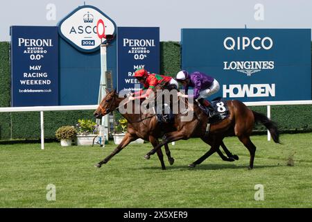 Ascot, Berkshire, Regno Unito. 11 maggio 2024. Il cavallo Xanthe guidato dal fantino Pat Hobbs vince la Peroni nastro Azzurro 0,0% Novice Stakes all'Ascot Racecourse al Peroni nastro Azzurro 0,0% Victoria Cup Raceday. Proprietaria, signora J Wood, allenatore Richard Hannon, Marlborough, allevatore Bullfinch Stud, sponsor Aten Therapeutics. Crediti: Maureen McLean/Alamy Live News Foto Stock