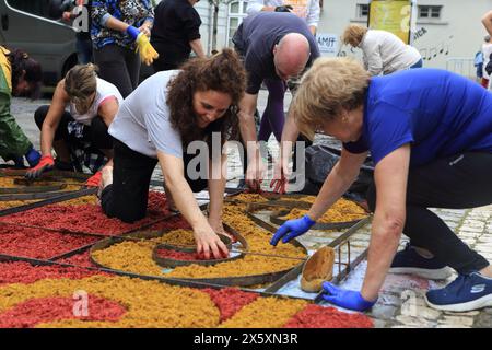 Caminha, Portogallo - 8 giugno 2023: Gruppo di artigiani locali che creano un "tappeto floreale" come parte della celebrazione religiosa annuale del Corpus Christi Foto Stock