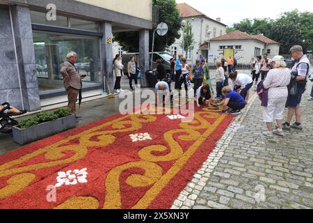 Caminha, Portogallo - 8 giugno 2023: Gruppo di artigiani locali che creano un "tappeto floreale" come parte della celebrazione religiosa annuale del Corpus Christi Foto Stock