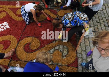 Caminha, Portogallo - 8 giugno 2023: Gruppo di artigiani locali che creano un "tappeto floreale" come parte della celebrazione religiosa annuale del Corpus Christi Foto Stock