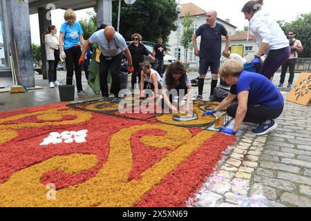 Caminha, Portogallo - 8 giugno 2023: Gruppo di artigiani locali che creano un "tappeto floreale" come parte della celebrazione religiosa annuale del Corpus Christi Foto Stock