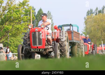 Newark, Nottinghamshire, Regno Unito. 11 maggio 2024 sfilata di trattori d'epoca al Nottinghamshire County Show 2024 Foto Stock