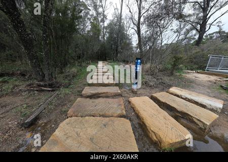 Darwins cammina accanto al Jamison Creek a Wentworth Falls nelle Blue Mountains dopo un periodo di pioggia in autunno. Foto Stock