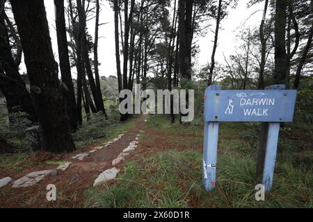 Inizio della Darwins Walk (parte della Grand Cliff Top Walk) a Wilson Park, Wentworth Falls, Blue Mountains, NSW, Australia Foto Stock