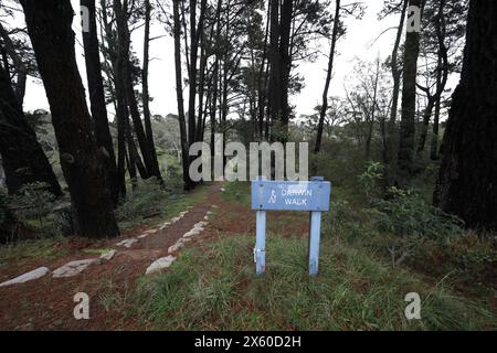 Inizio della Darwins Walk (parte della Grand Cliff Top Walk) a Wilson Park, Wentworth Falls, Blue Mountains, NSW, Australia Foto Stock